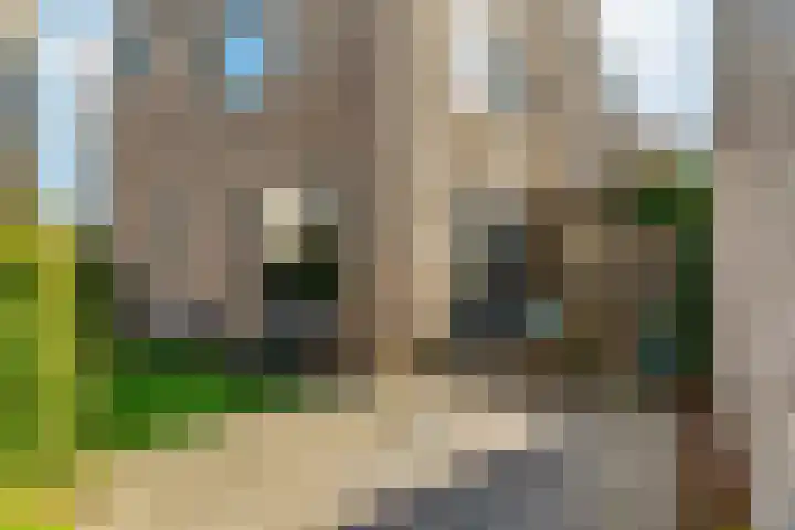 Dettifossstraat 234 Almere thumbnail 35