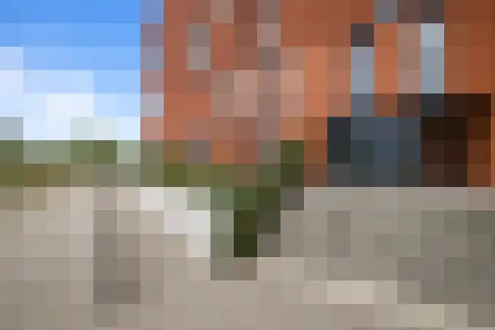 Dettifossstraat 314 Almere thumbnail 33