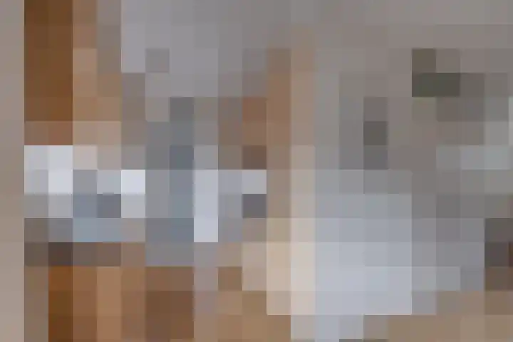 Deugenweerd 27 Borculo thumbnail 11