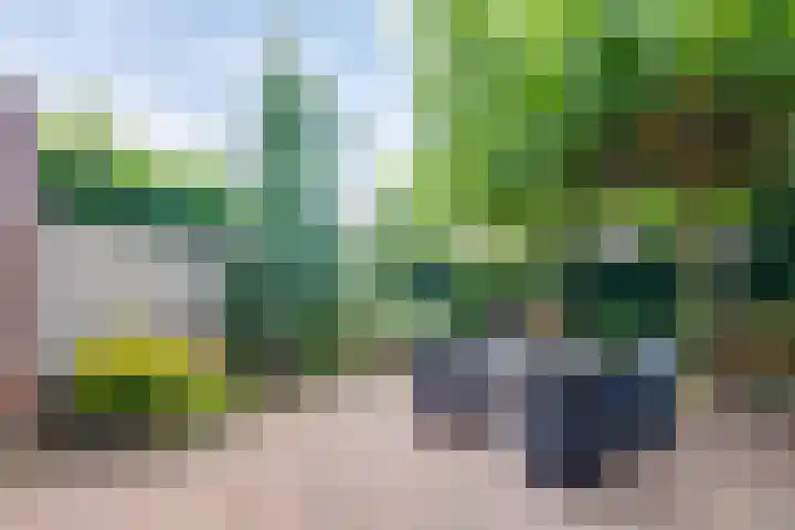 Deugenweerd 27 Borculo thumbnail 20
