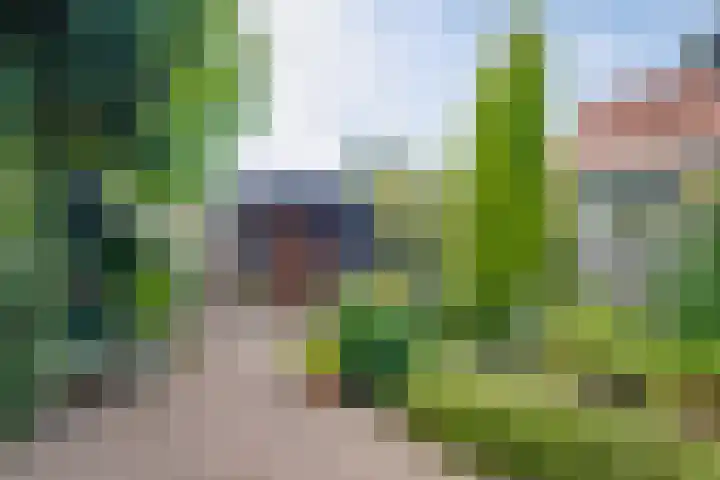 Deugenweerd 27 Borculo thumbnail 22