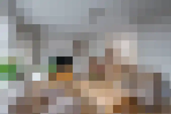 Deugenweerd 27 Borculo thumbnail 8