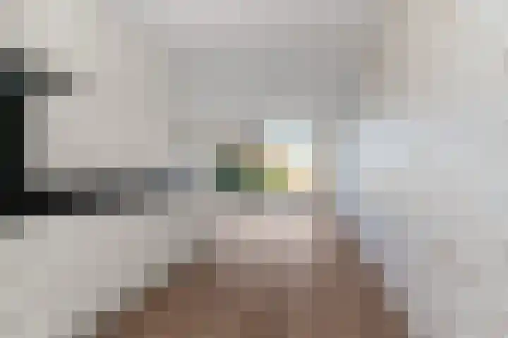Deurloo 4 Arnhem thumbnail 11