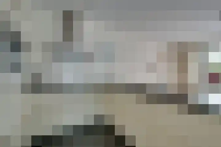 Deurloo 4 Arnhem thumbnail 15