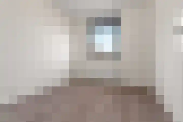 Deurloo 4 Arnhem thumbnail 15