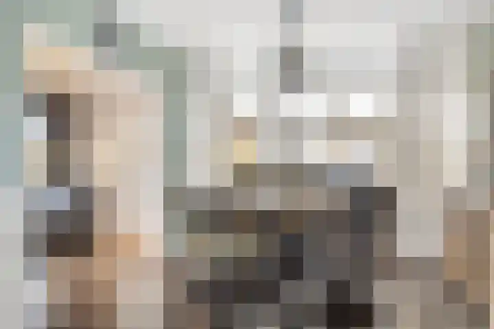 Deurloo 4 Arnhem thumbnail 24