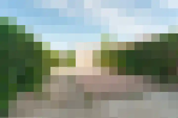 Deurloo 4 Arnhem thumbnail 27