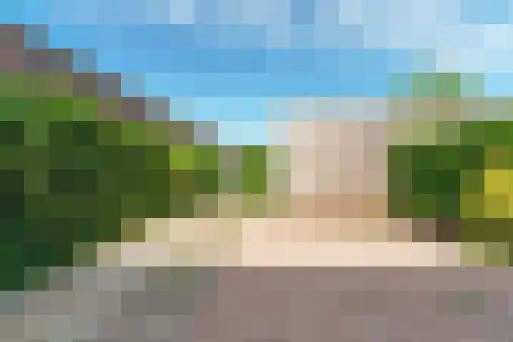 Deurloo 4 Arnhem thumbnail 28