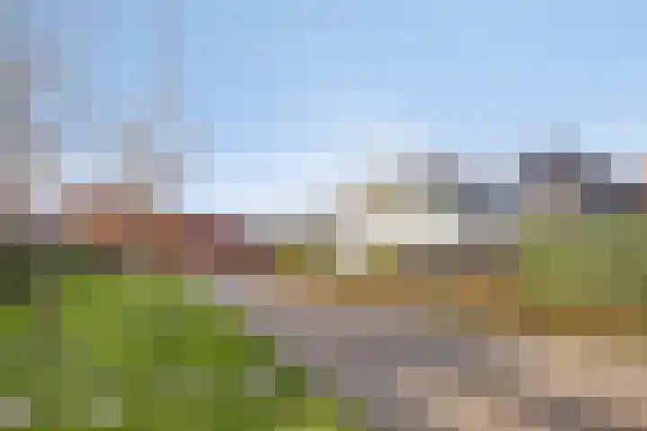 Deurloo 4 Arnhem thumbnail 30