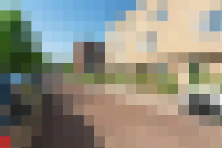 Deurloo 4 Arnhem thumbnail 32