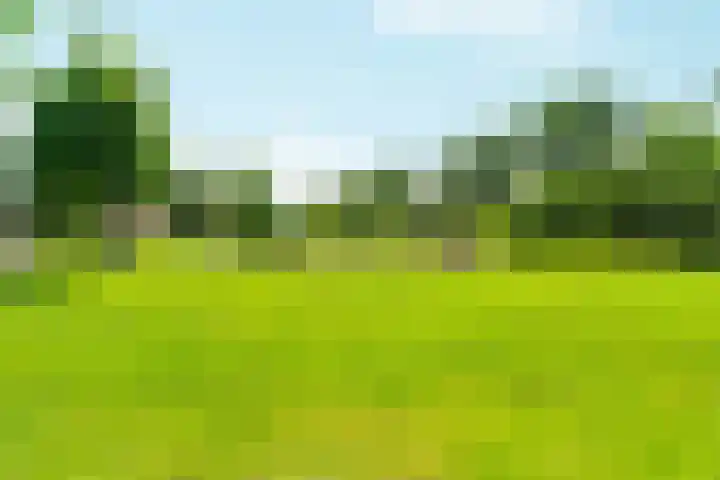 Deurloo 4 Arnhem thumbnail 33