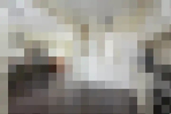 Deurloo 5 Dirksland thumbnail 13