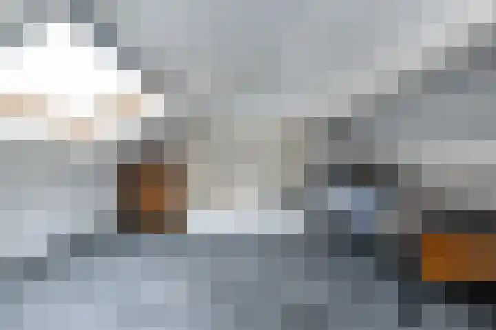 Deurloo 5 Dirksland thumbnail 27