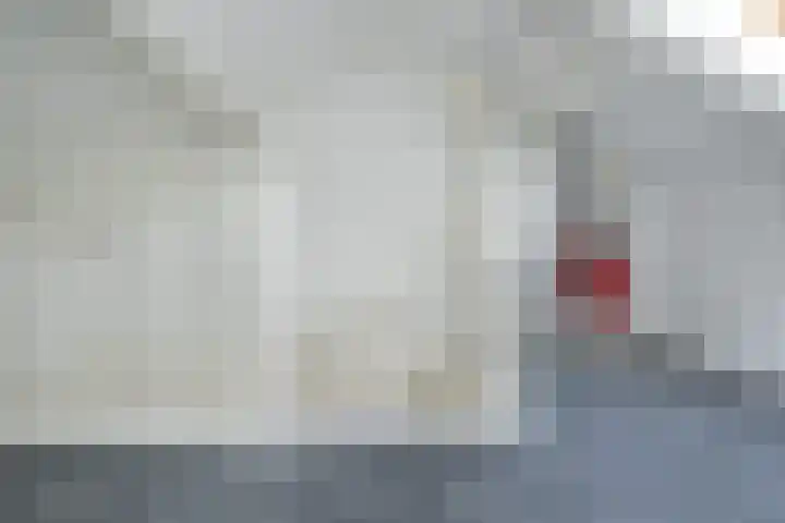Deurloo 5 Dirksland thumbnail 30