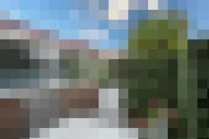 Deurloo 5 Dirksland thumbnail 31