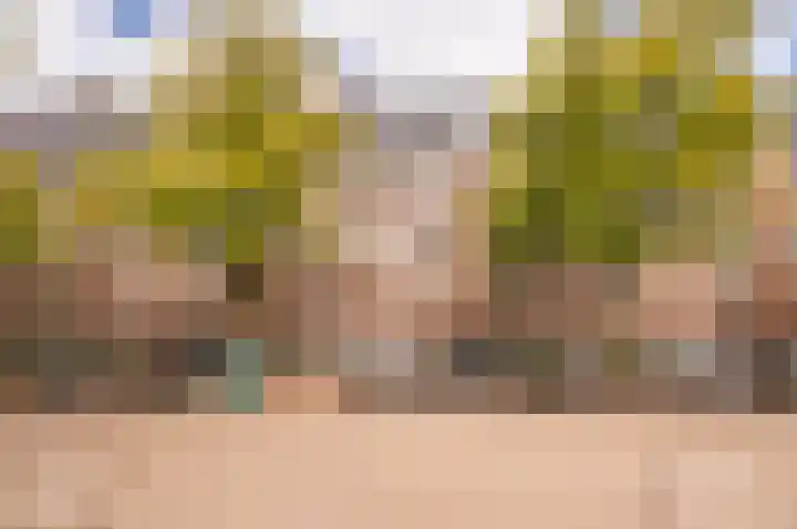 Deurloostraat 32 1 in Amsterdam
