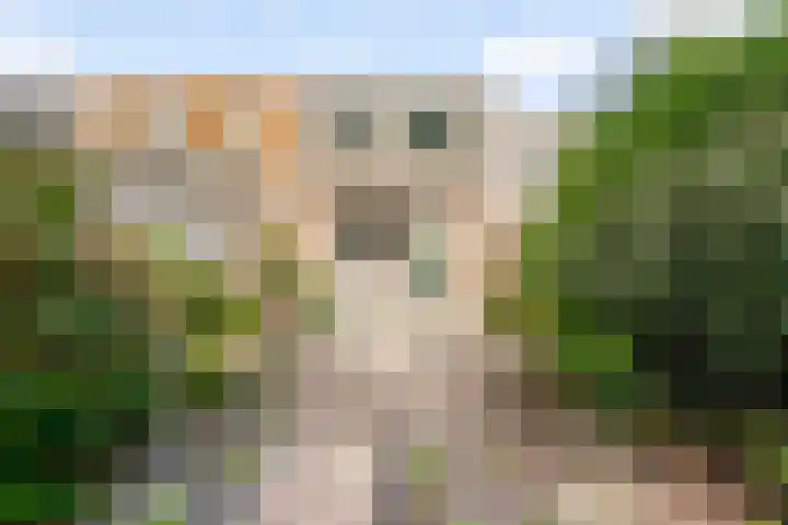 Deurnestraat 50 Almere thumbnail 32