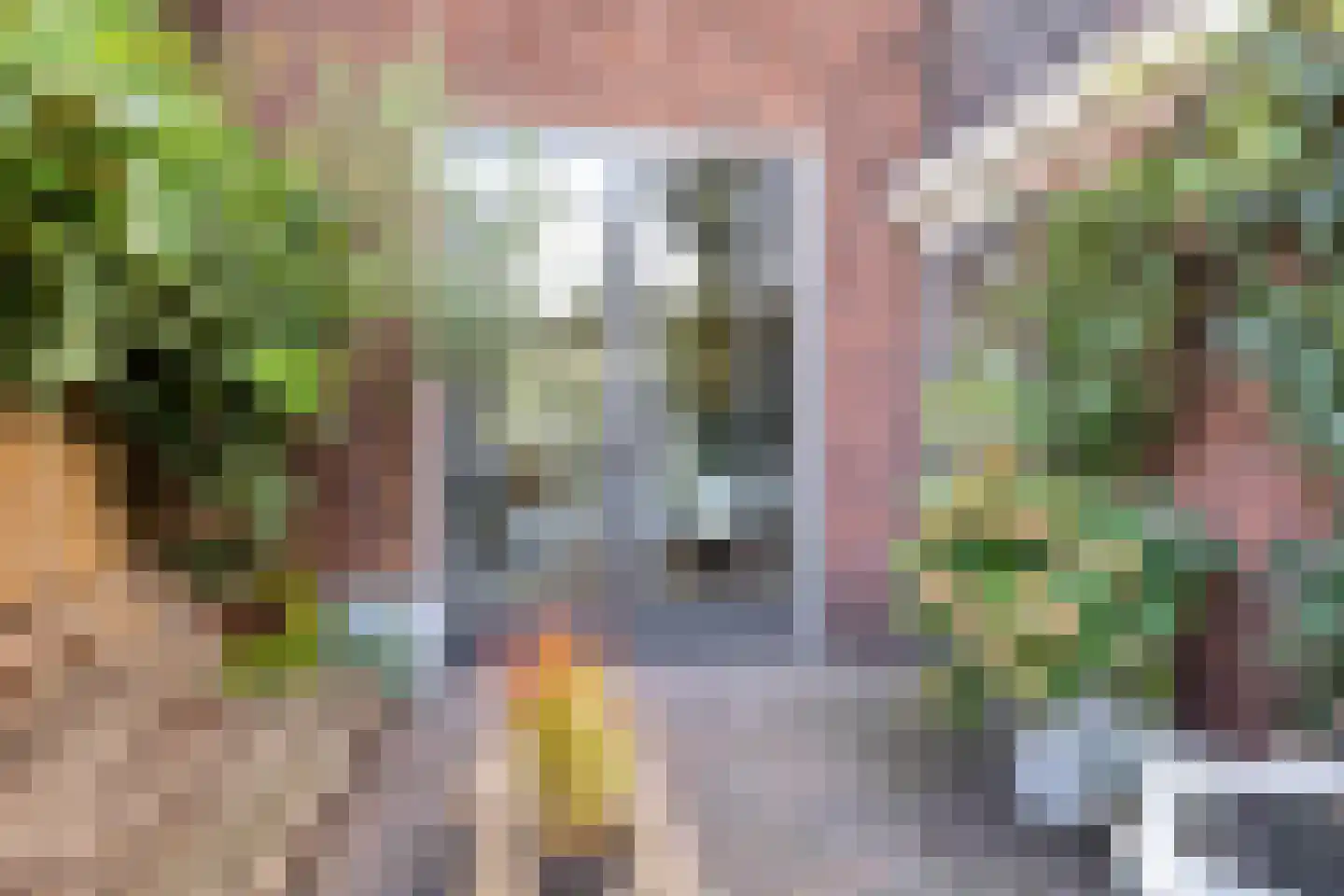 Deurningerstraat 265 Enschede thumbnail 39
