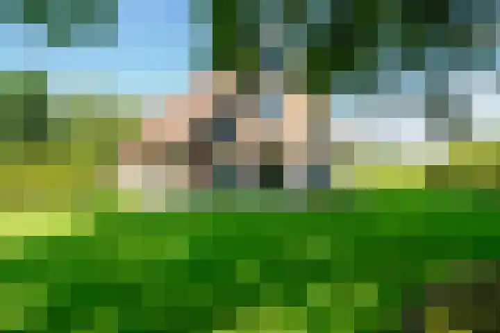 Deurningerstraat 48 Deurningen thumbnail 69