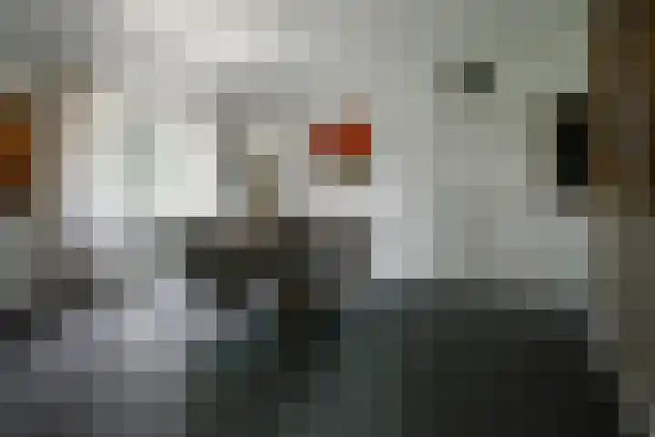 Deurningerstraat 48 Deurningen thumbnail 7