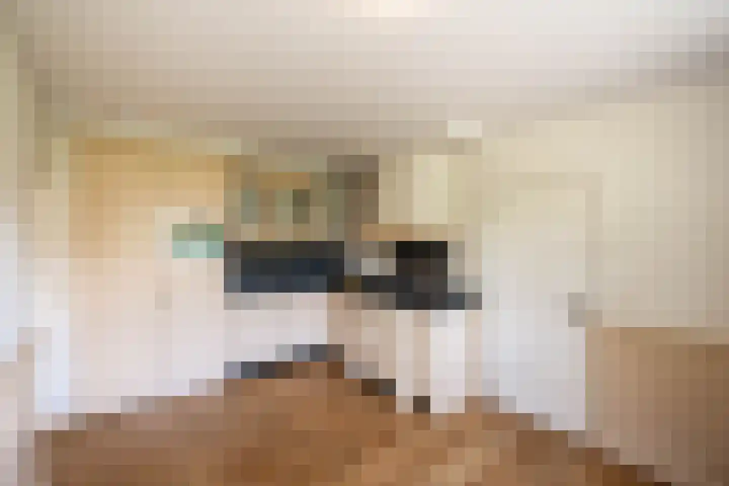 Deursenseweg 13 Berghem thumbnail 11