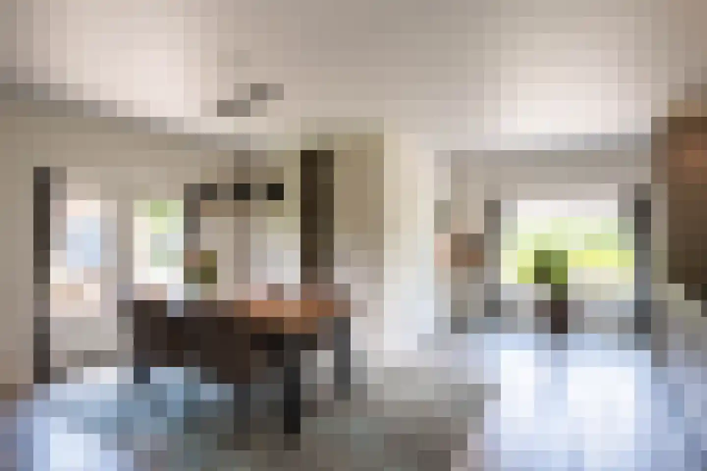 Deursenseweg 13 Berghem thumbnail 28
