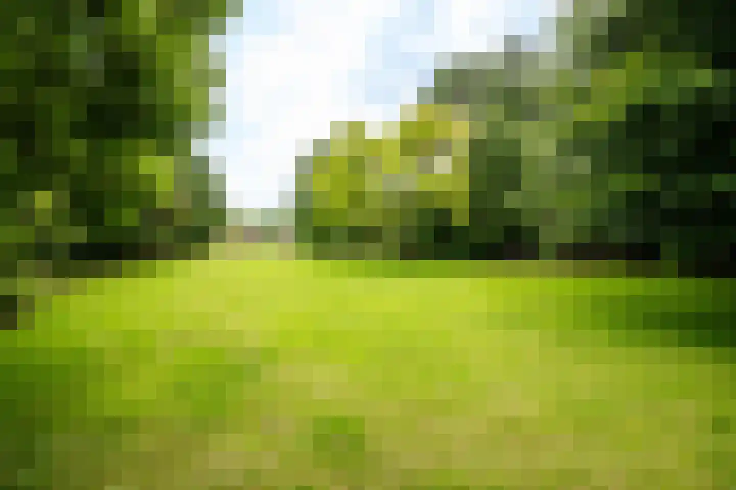 Deursenseweg 13 Berghem thumbnail 39