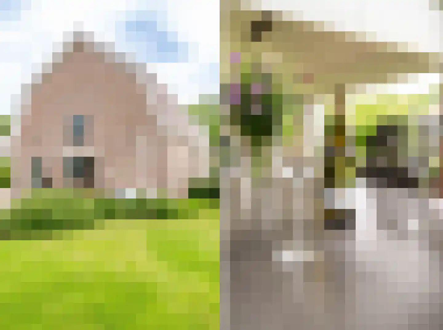 Deursenseweg 13 Berghem thumbnail 43