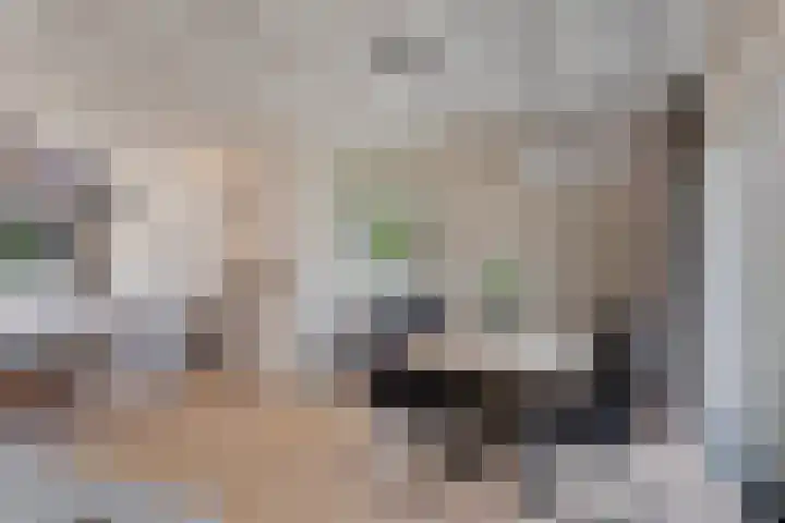 Deutseveldstraat 13 Wehl thumbnail 13