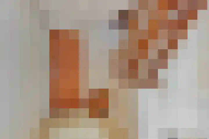 Deutseveldstraat 13 Wehl thumbnail 28