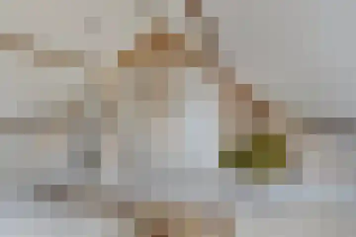 Deutseveldstraat 13 Wehl thumbnail 30