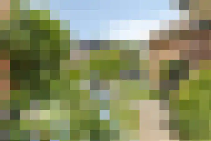 Deutseveldstraat 13 Wehl thumbnail 35