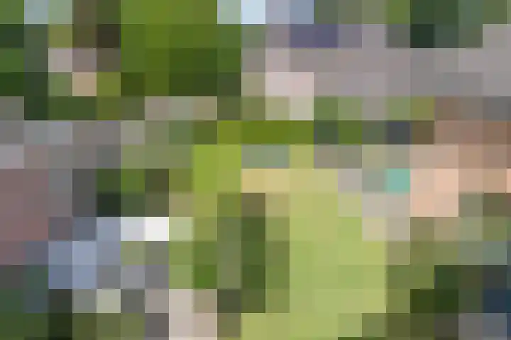 Deutseveldstraat 13 Wehl thumbnail 38