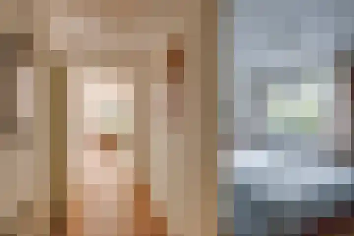 Deventerdijk 10 H145 Harfsen thumbnail 15