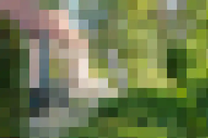 Deventerdijk 10 H145 Harfsen foto 2