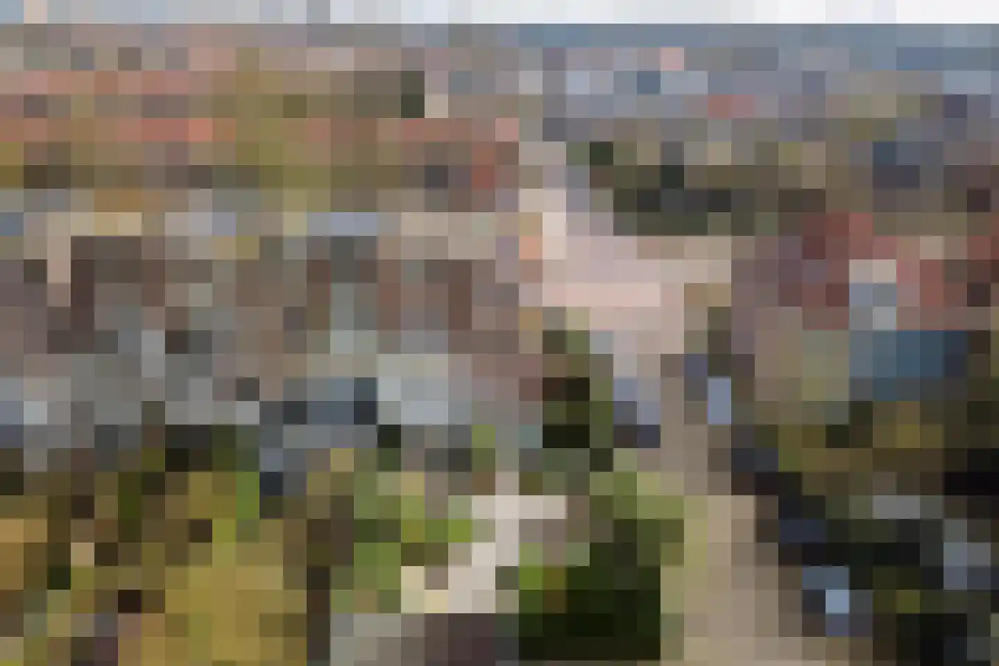 Deventerweg 113 Zutphen thumbnail 5