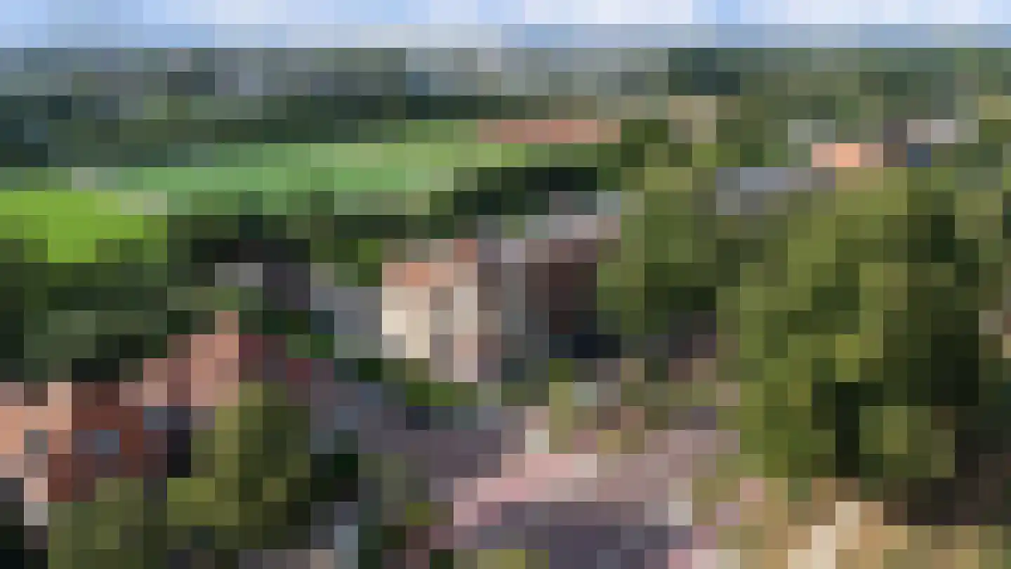 Deventerweg 113 Zutphen thumbnail 53