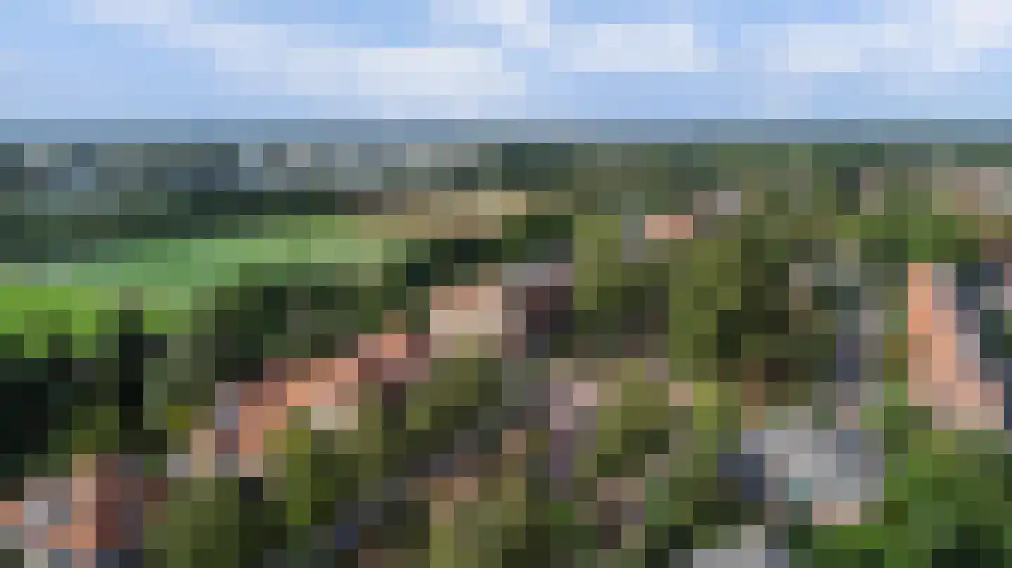 Deventerweg 113 Zutphen thumbnail 55
