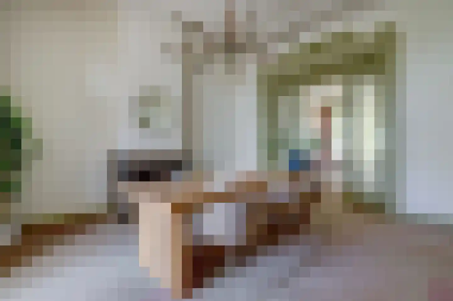 Deventerweg 113 Zutphen thumbnail 7