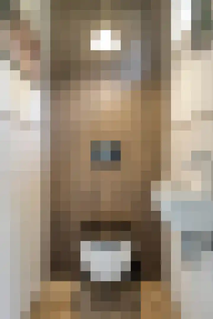Deventerweg 12 A Bathmen thumbnail 17
