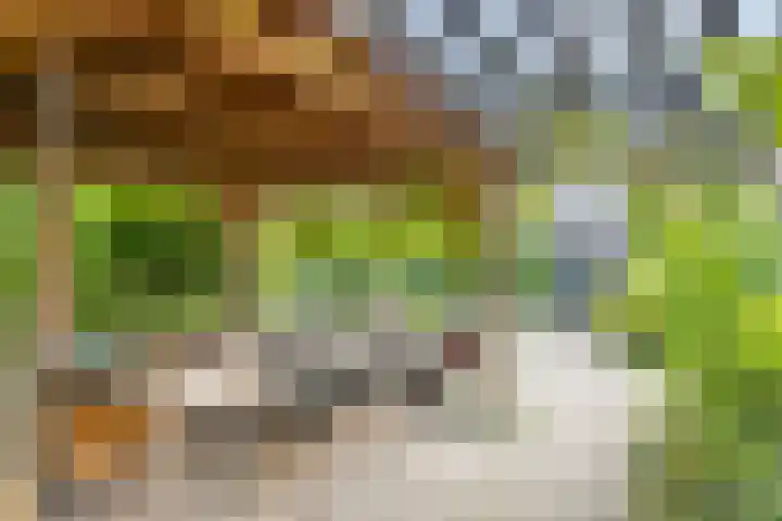 Deventerweg 12 A Bathmen thumbnail 31