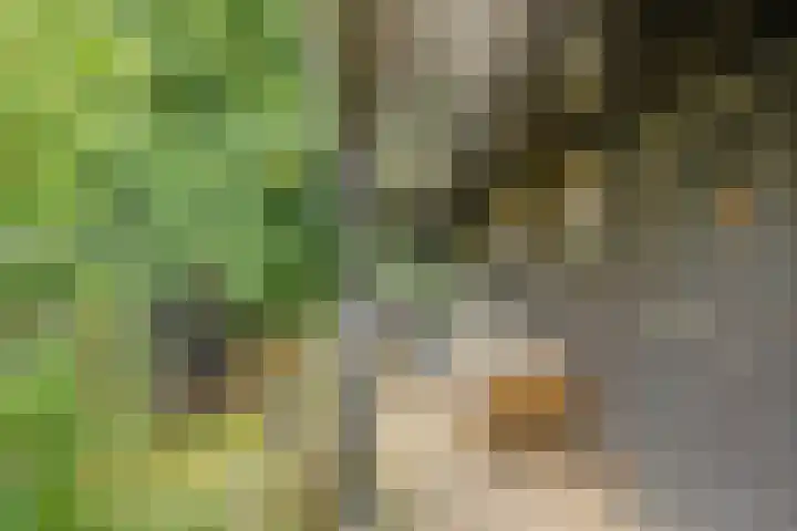 Deventerweg 12 A Bathmen thumbnail 32
