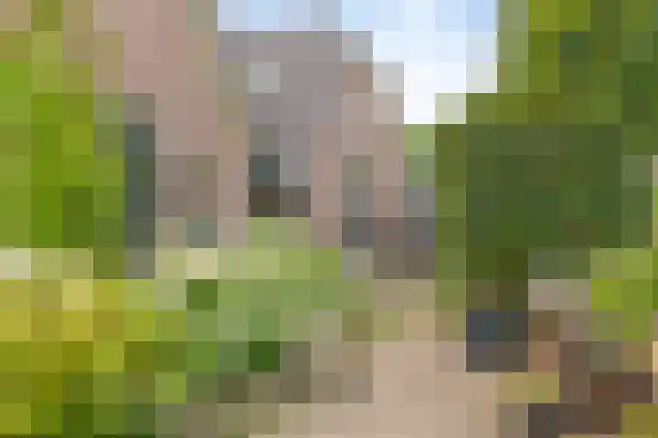 Deventerweg 12 A Bathmen thumbnail 35