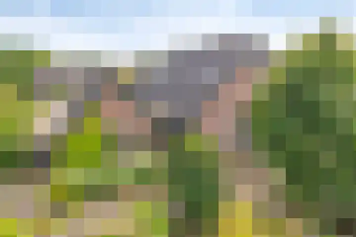 Deventerweg 12 A Bathmen thumbnail 37