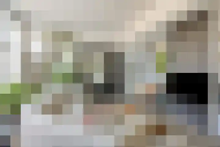Deventerweg 12 A Bathmen thumbnail 7