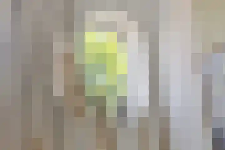 Deventerweg 12 A Bathmen thumbnail 9