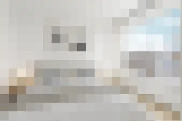 Dever 16 Amsterdam thumbnail 8