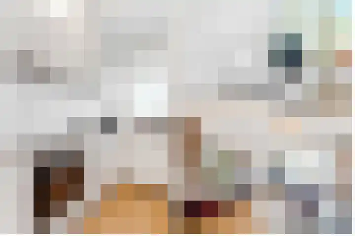 Dever 26 Amsterdam thumbnail 9