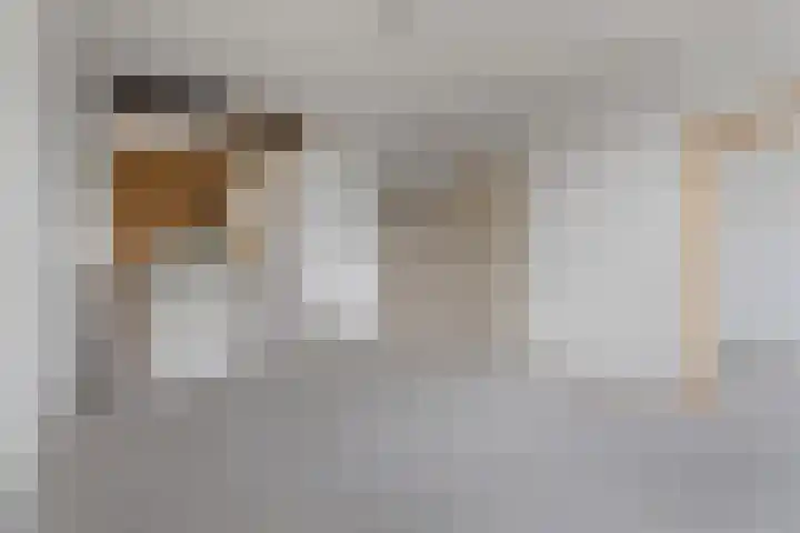 Dever 36 Amsterdam thumbnail 14
