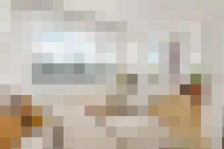 Dever 36 Amsterdam thumbnail 8